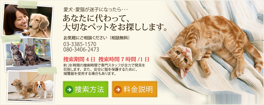 あなたに代わって、大切なペットをお探しします。迷子犬・迷子猫の捜索。ペット探偵のペットサーチアイにご相談下さい。